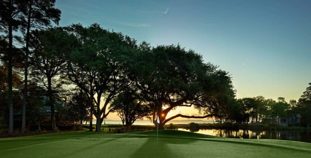 Silhouette of a tree and a golf course at sunset