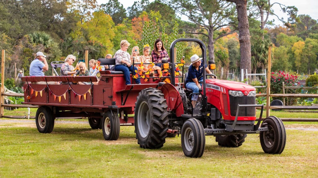 Families taking a wagon ride through the Sea Pines Forest Preserve for Thanksgiving.